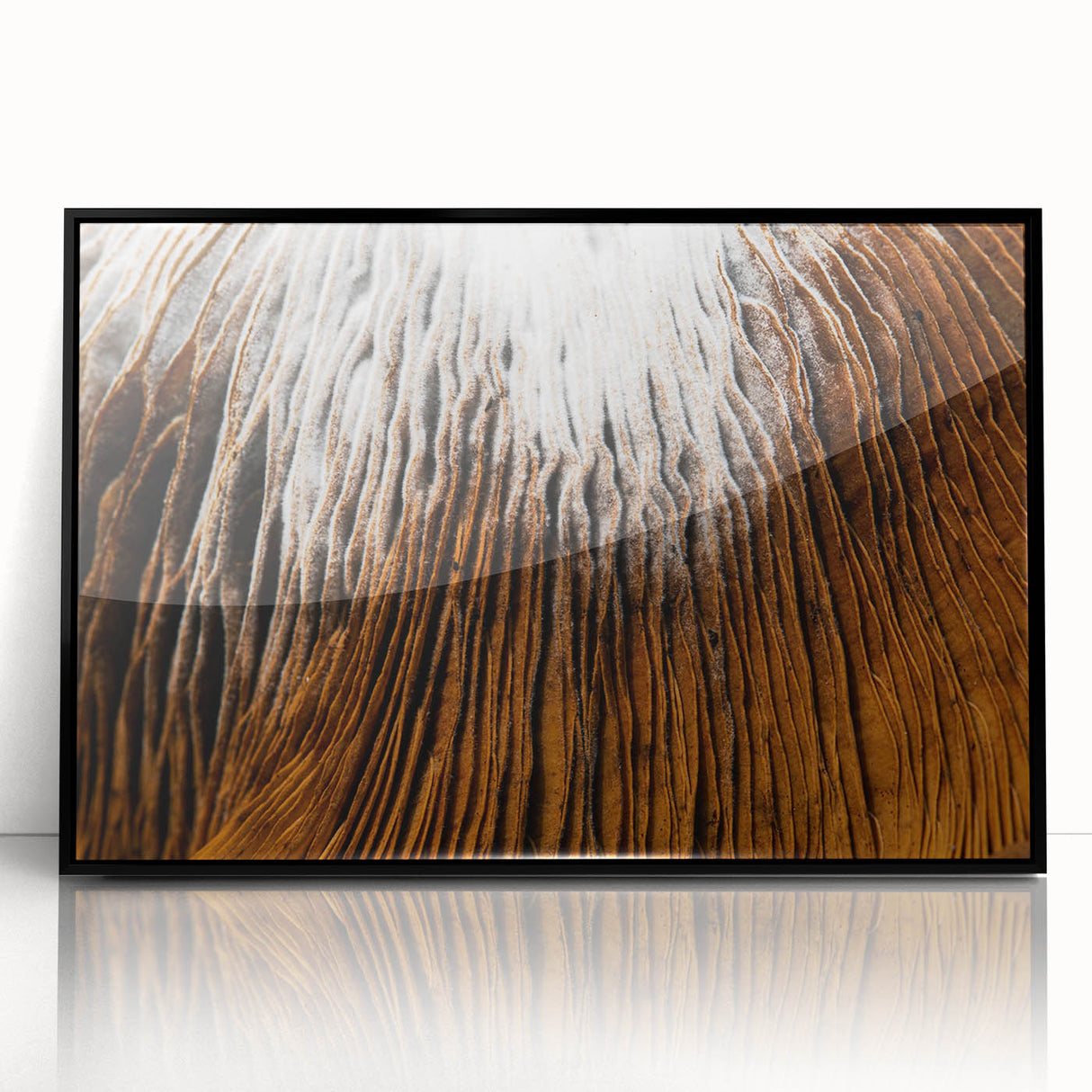 Large abstract wall art featuring a mid-century modernist floral design in muted earth tones, framed in black acrylic.