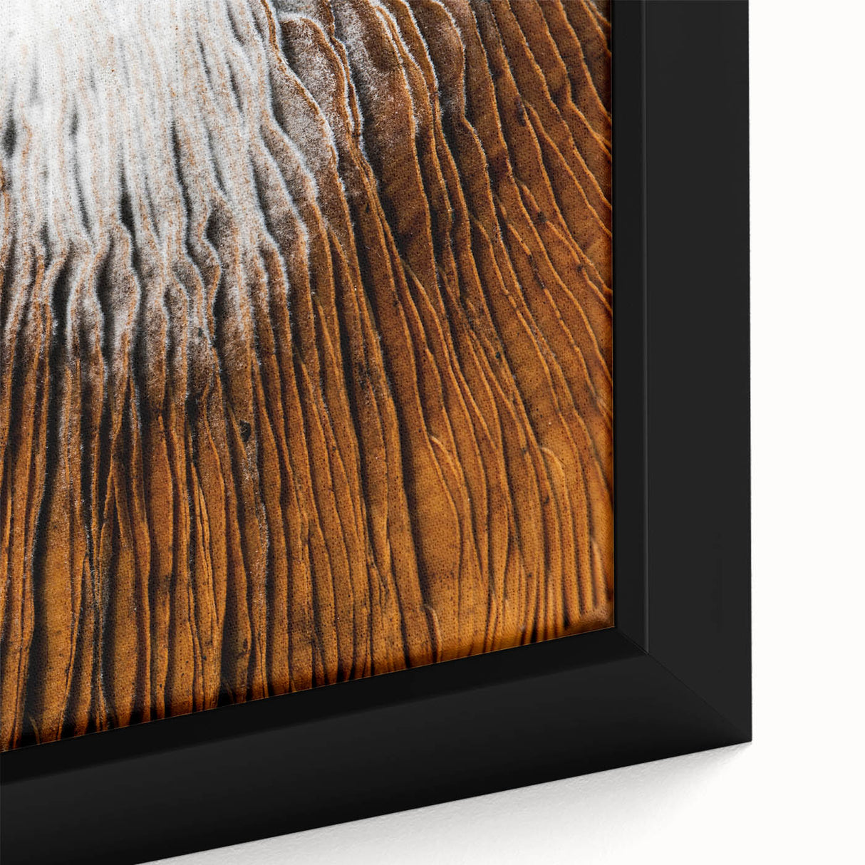 Close-up of black wall art featuring colorful, textured floral designs on a framed canvas, ideal for living room decor.