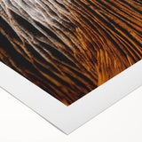 Art deco poster featuring a close-up floral design in pastel shades on rolled canvas.