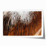 Close-up floral art on rolled canvas, featuring vibrant pink and green tones, ideal for dining room or bathroom wall decor.