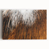 Black and white floral close-up on large stretched canvas, ideal for kitchen wall art.