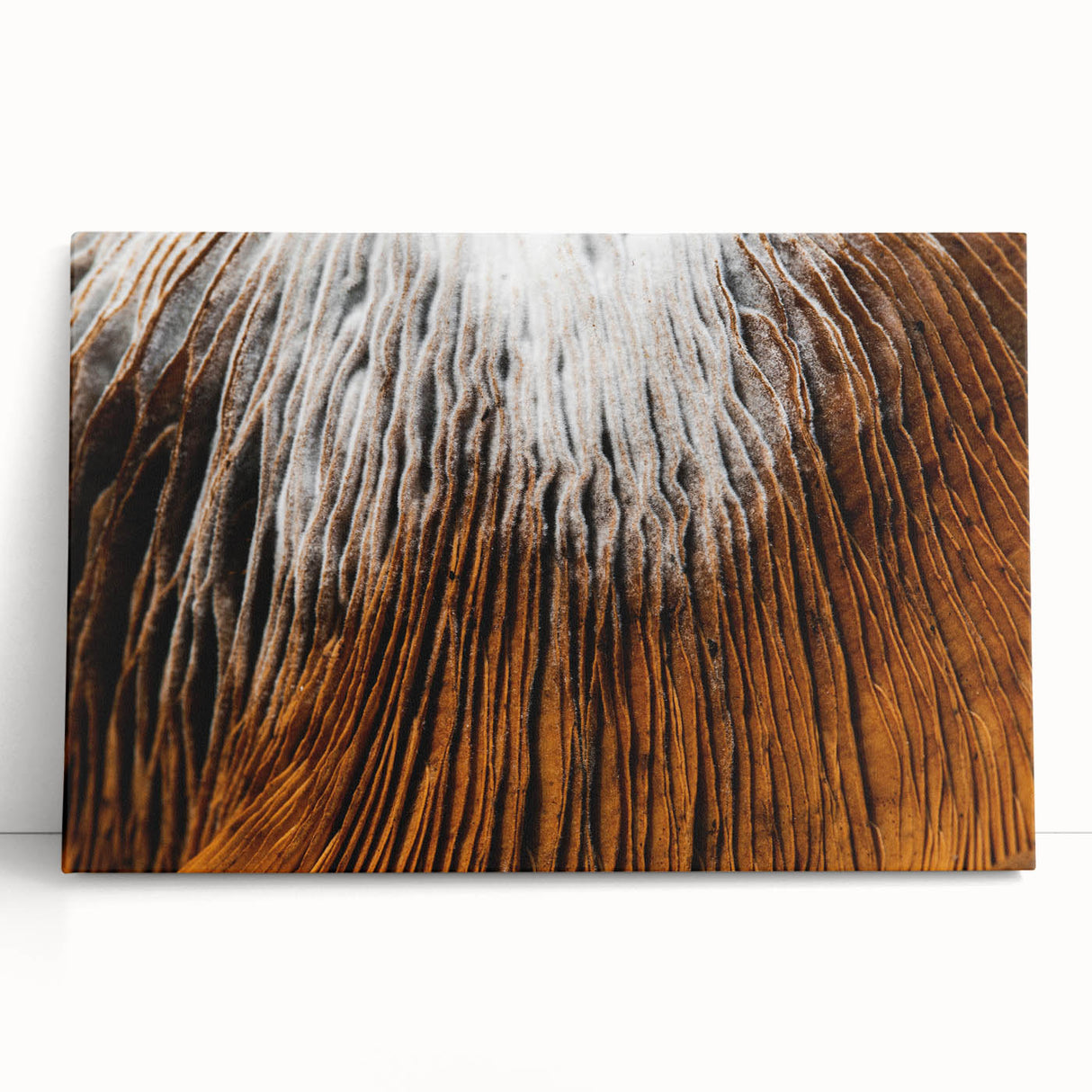 Black and white close-up floral photo on stretched canvas, ideal for kitchen wall art or bedroom ambiance.