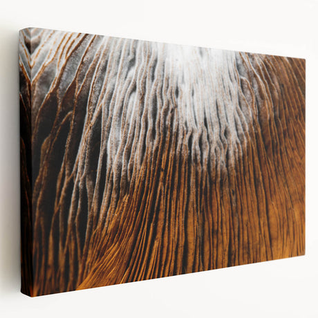 Close-up floral design on large stretched canvas in vivid colors, ideal for kitchen wall art.