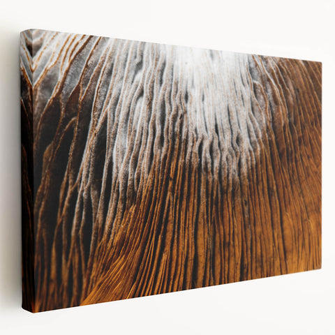 Close-up floral design on large stretched canvas in vivid colors, ideal for kitchen wall art.