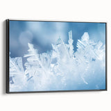 Black and white framed canvas featuring a close-up of frost patterns, ideal for bedroom wall art in a vintage style.