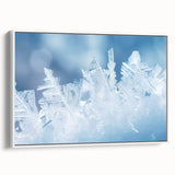 Framed canvas of a close-up landscape with frost patterns in black and white, ideal for bedroom wall art.