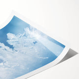 Extra large rolled print featuring a close-up of frost patterns on flowers in muted white and blue tones.