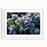 Extra large abstract art print featuring a textured frost design in cool blue tones, framed in white.
