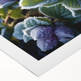 Art deco poster featuring intricate frost patterns in cool blue and white tones on rolled canvas.