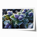 Close-up of frost on leaves in muted blue and white tones, rolled print, suitable as art wall for dining room or bathroom.