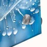 Acrylic glass print of a close-up frost design in cool blue tones.