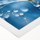 Art deco poster featuring a close-up of frost patterns in muted blues on rolled canvas, suitable for dining room or bathroom.