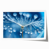 Close-up of frost patterns on ice in muted blue and white tones, rolled print.