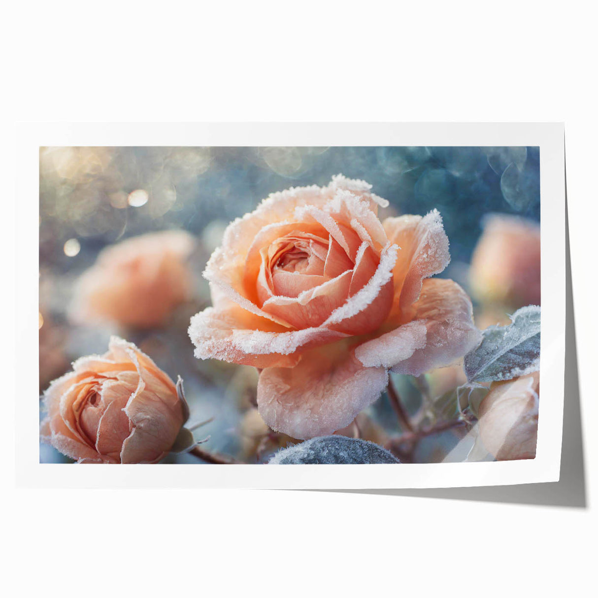 Close-up of frost patterns on ice in muted blue and white tones, rolled print, suitable for dining room or bathroom wall art.