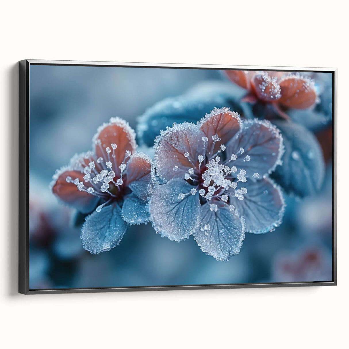 Black and white framed canvas featuring a close-up of frost patterns, ideal for bedroom wall decor.