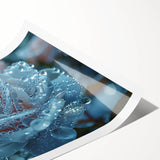 Extra large wall art featuring a close-up of frost patterns on flowers, rendered in monochrome line art.