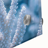 Close-up of frost pattern in muted gray tones on acrylic glass, ideal for dining room art with a mid-century modernist style.