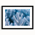 Extra large abstract art print featuring a colorful, textured frost design on a black framed canvas.