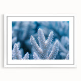 Extra large abstract art print featuring a textured frost design in white and blue tones, framed with a white mat.