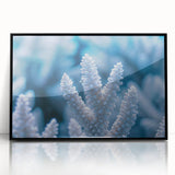 Framed acrylic print of large abstract wall art featuring intricate frost patterns in muted gray tones.