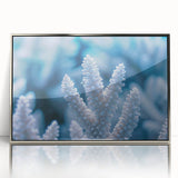 Framed acrylic print of a close-up frost design in silver, ideal for modern nursery wall decor.