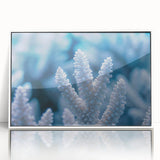 Framed acrylic print of a close-up ice frost design in muted gray tones, suitable for modern art wall decor.