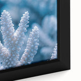 Framed canvas featuring a close-up of ice with a frost design, employing a black and colorful textured art style.