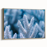 Framed canvas featuring a close-up of frost patterns in muted gray and blue tones.