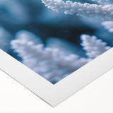 Art deco poster featuring a close-up of frost patterns in muted gray tones on rolled canvas, suitable for dining room walls.