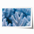 Close-up of frost on ice in muted blue and white tones, rolled print, suitable for dining room wall art.