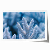 Close-up of frost on ice in muted blue and white tones, rolled print, suitable for dining room wall art.