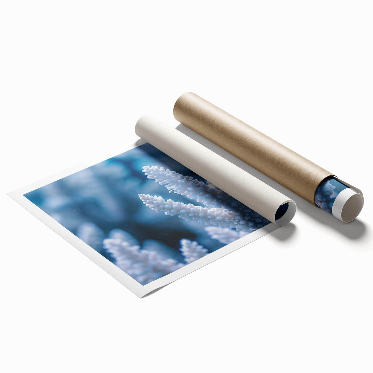 Close-up of frost pattern on ice in muted blue and white tones, rolled print, suitable for classy bathroom wall art.