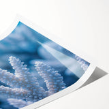 Extra large rolled print featuring a close-up of frost patterns, in gray and white tones.