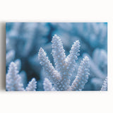 Black and white close-up photo of frost patterns on ice, printed on large stretched canvas, suitable for kitchen wall art.