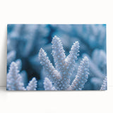 Close-up of frost patterns in black and white on a large stretched canvas, ideal for kitchen wall art or bedroom decor.