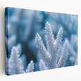 Close-up image of frost patterns on ice in muted blue and white tones on a stretched canvas, ideal for kitchen wall art.