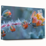 Close-up image of frost patterns on acrylic glass, in muted blue and white tones.