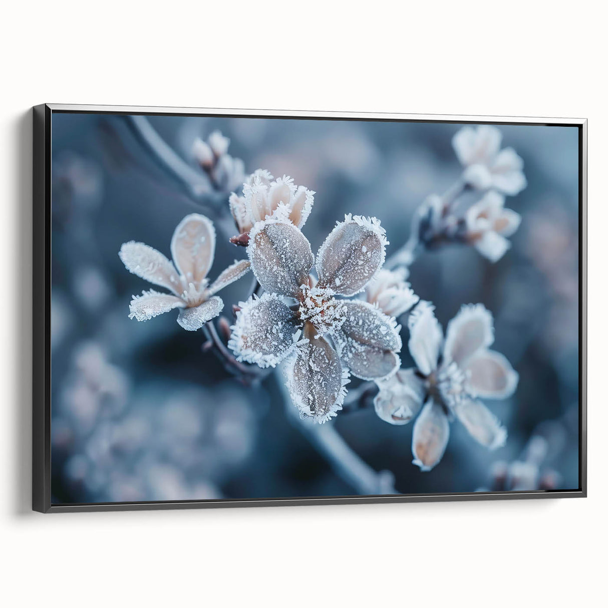 Black and white framed canvas featuring a close-up of frost patterns, ideal for bedroom wall decor.