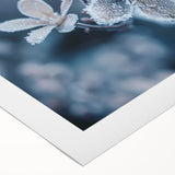 Art deco poster featuring a close-up of frost patterns in icy blue tones on rolled canvas.