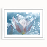 Extra large abstract art print featuring a close-up textured frost design in gray tones, framed with a white mat.