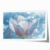 Close-up of frost patterns on a plant, in muted blue and white tones, extra large rolled print.