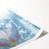 Extra large wall art featuring a close-up of frost patterns on flowers, in muted blue and white tones.