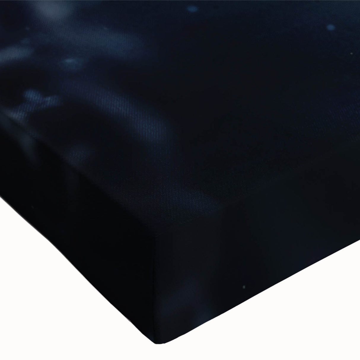 Black and white close-up of frost patterns on ice, printed on large stretched canvas, suitable for bedroom wall art.