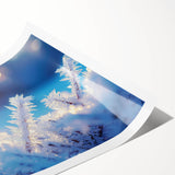 Extra large wall art featuring close-up frost patterns on flowers, in soft blue and white tones.