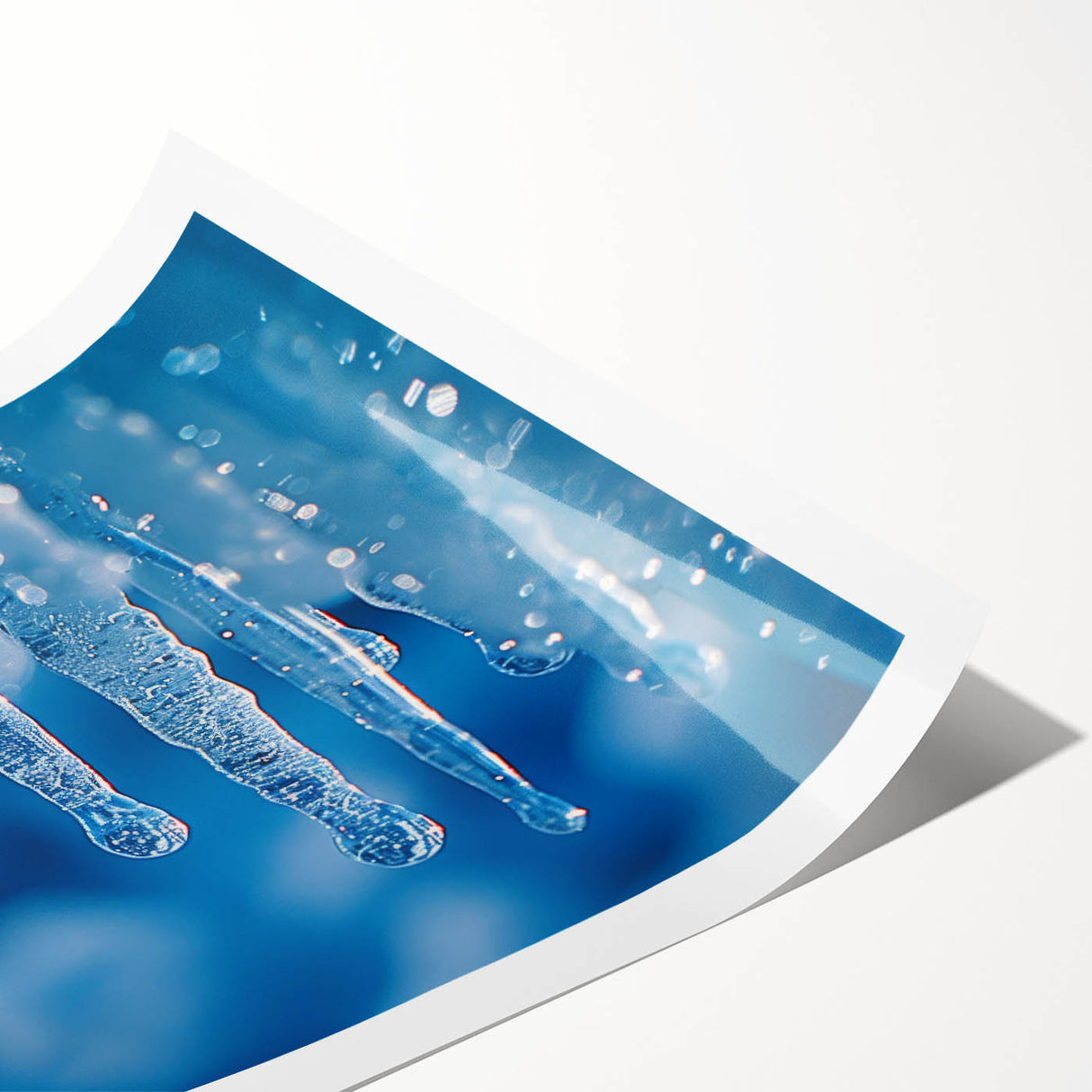 Extra large wall art featuring close-up line art flowers in frost design on a rolled print.
