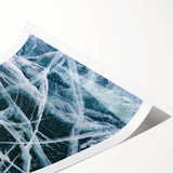 Extra large wall art featuring a close-up of frost patterns on a flower, rendered in line art style on rolled canvas.