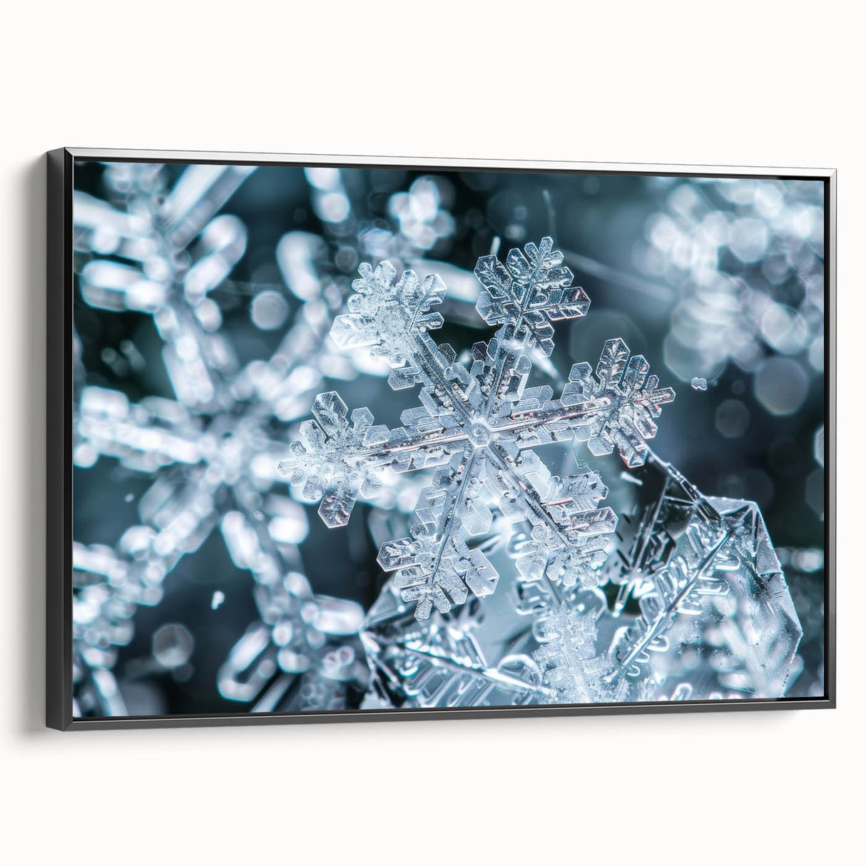 Black and white framed canvas featuring a close-up of frost patterns, ideal for bedroom wall decor.