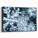 Black and white framed canvas featuring a close-up of frost patterns, ideal for bedroom wall decor.