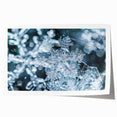 Close-up of frost patterns on ice in muted blue and white tones, rolled print, suitable for art wall dining room.