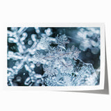 Close-up of frost patterns on ice in muted blue and white tones, rolled print, suitable for art wall dining room.
